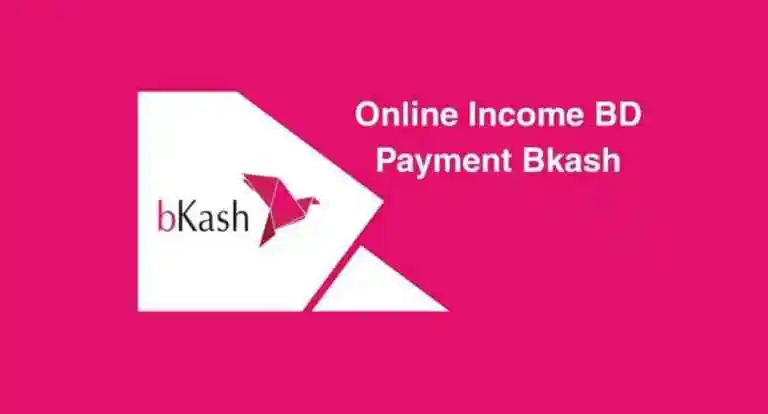 Online Income BD Payment Bkash Without Investment